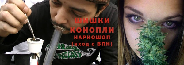 сатива Белоозёрский